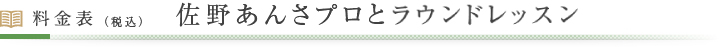 料金表（税込）佐野あんさプロとラウンドレッスン