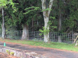 PXL_20260423_003334824